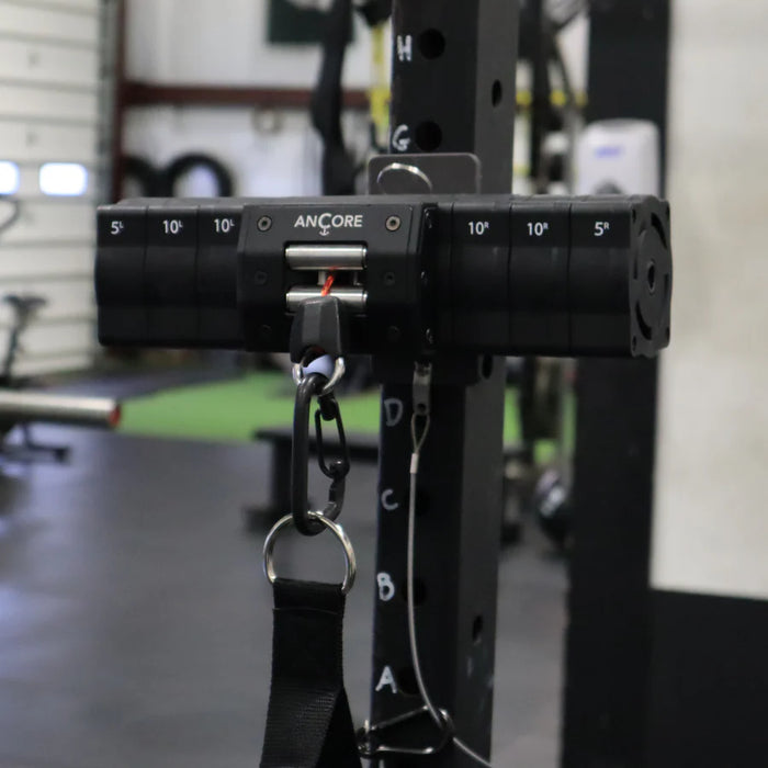 ANCORE Pro Plus