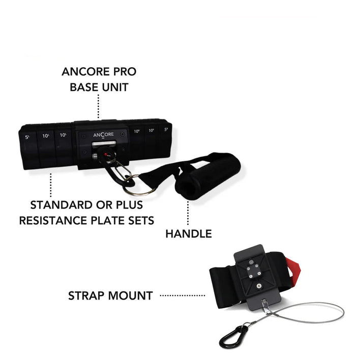ANCORE Pro Plus